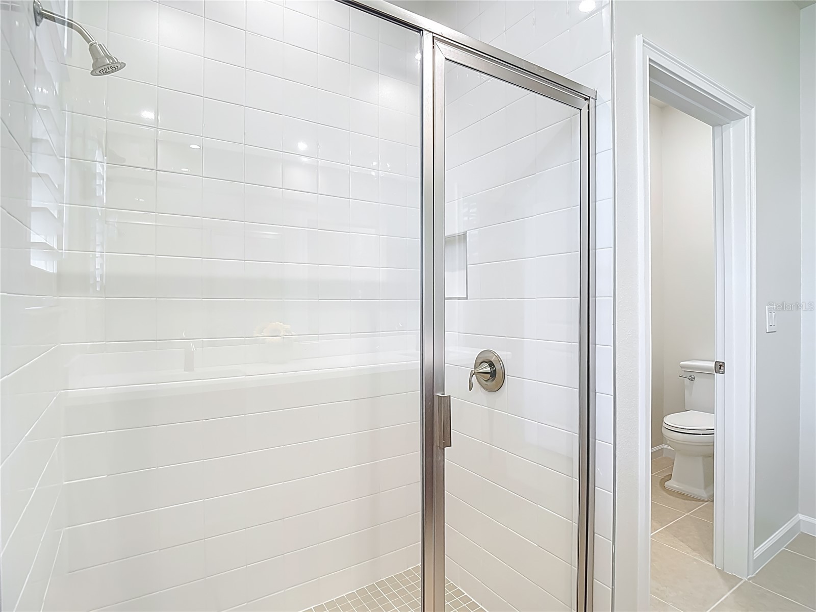 2477 Water Willow Drive Lutz FL 33558 TB8472443 image39