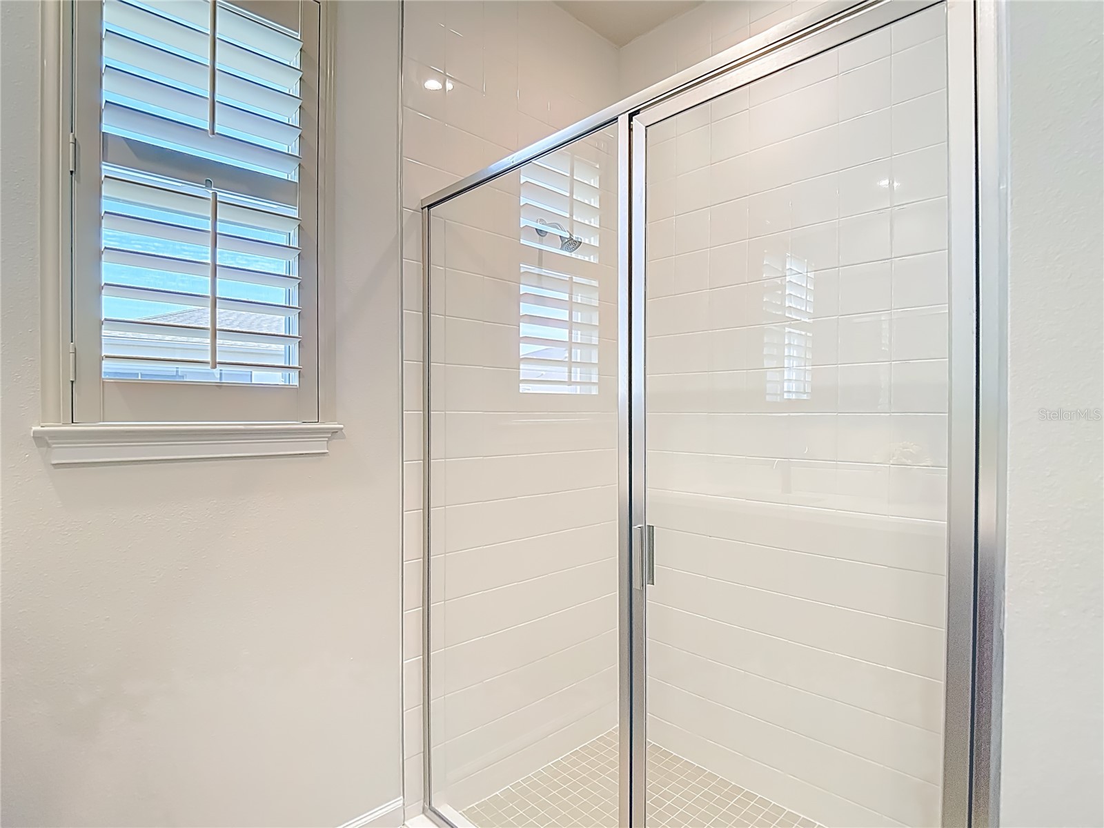 2477 Water Willow Drive Lutz FL 33558 TB8472443 image40