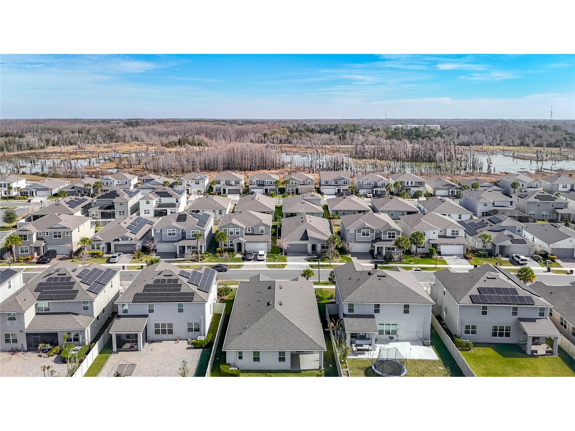 2477 Water Willow Drive Lutz FL 33558 TB8472443 image51