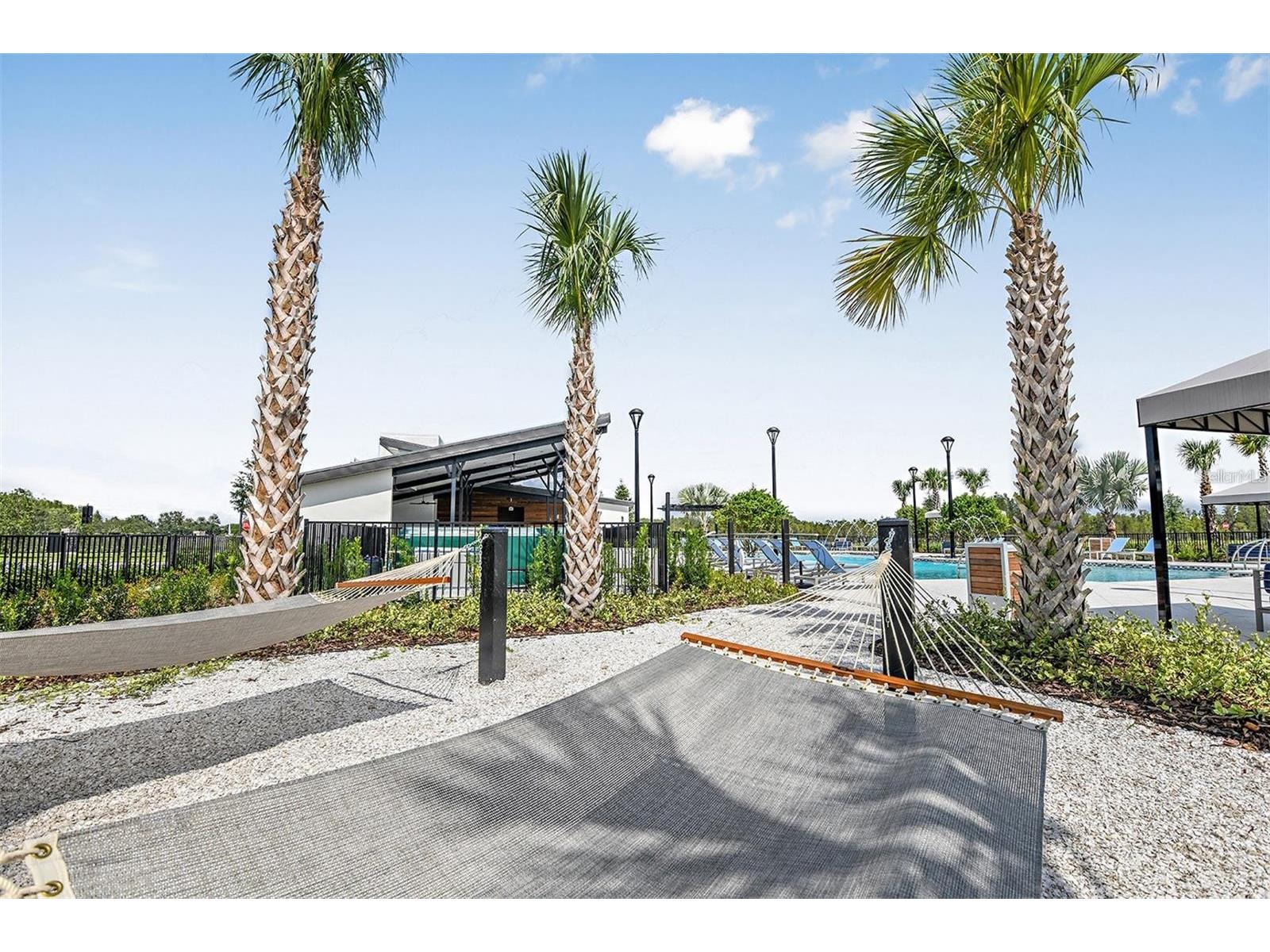 2477 Water Willow Drive Lutz FL 33558 TB8472443 image59