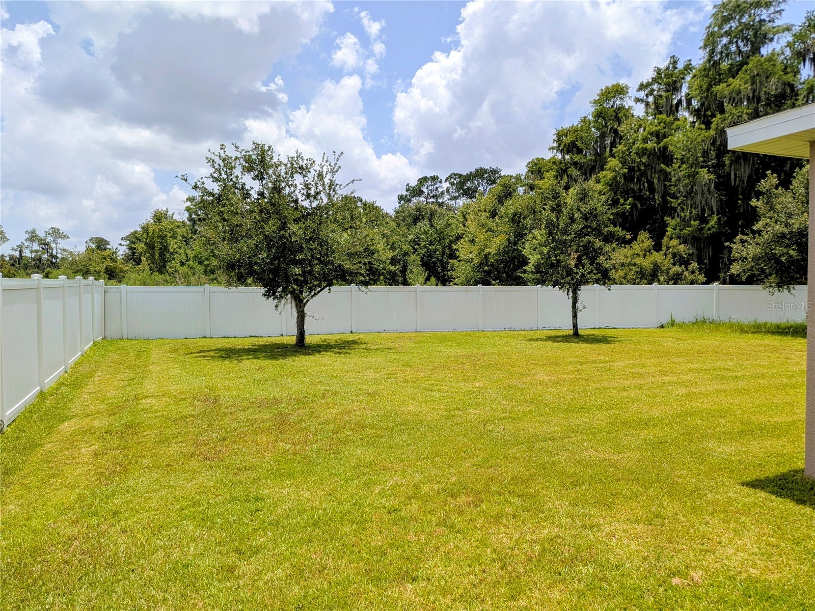 2478 Addison Creek Drive Kissimmee FL 34758 O6422990 image35