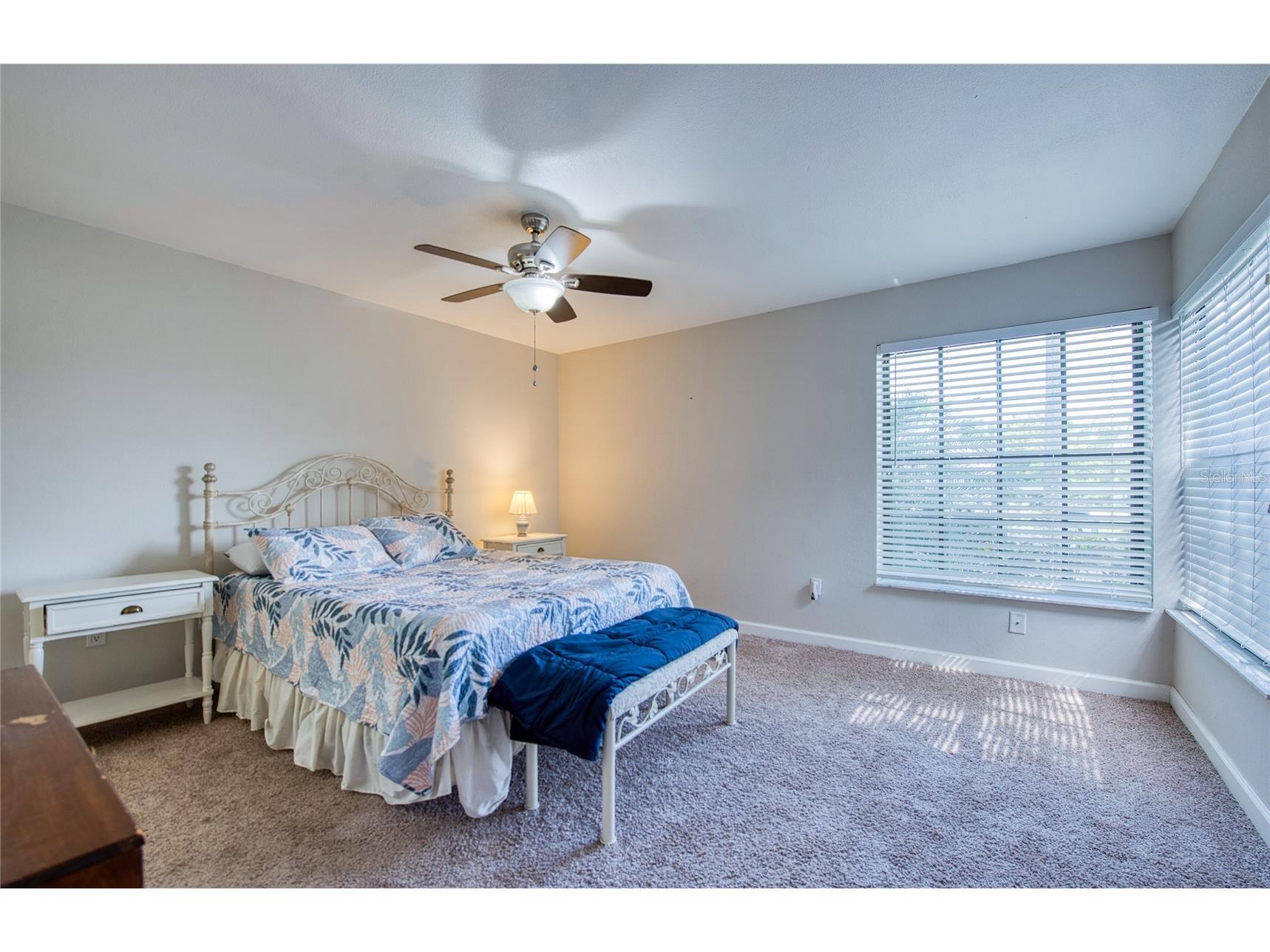 2478 Bentley Dr Palm Harbor FL 34684 TB8511587 image16