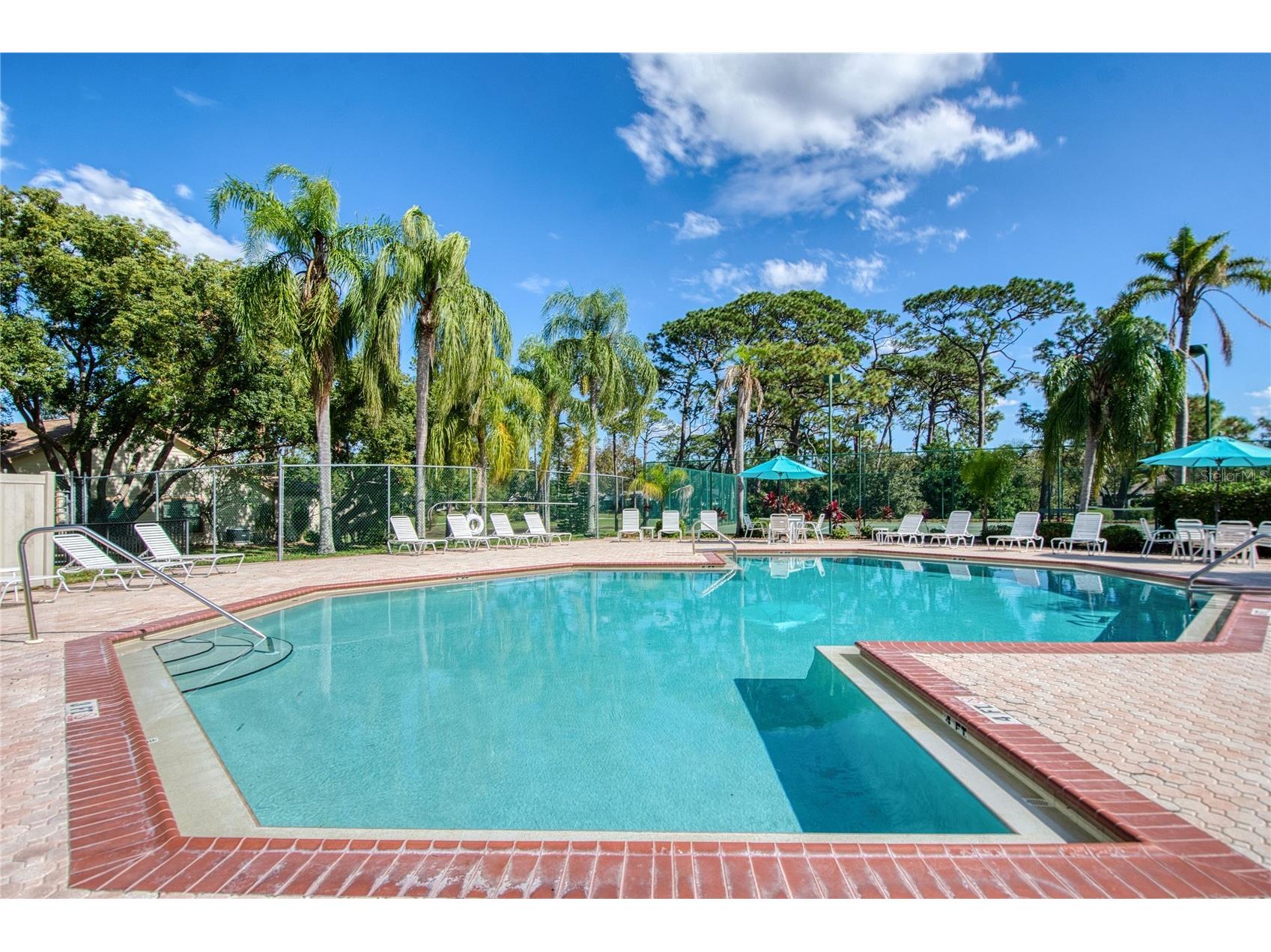 2478 Bentley Dr Palm Harbor FL 34684 TB8511587 image31