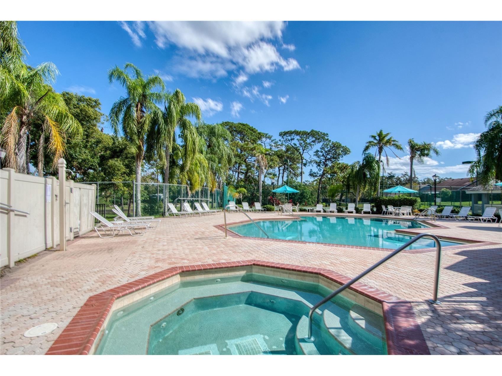 2478 Bentley Dr Palm Harbor FL 34684 TB8511587 image32