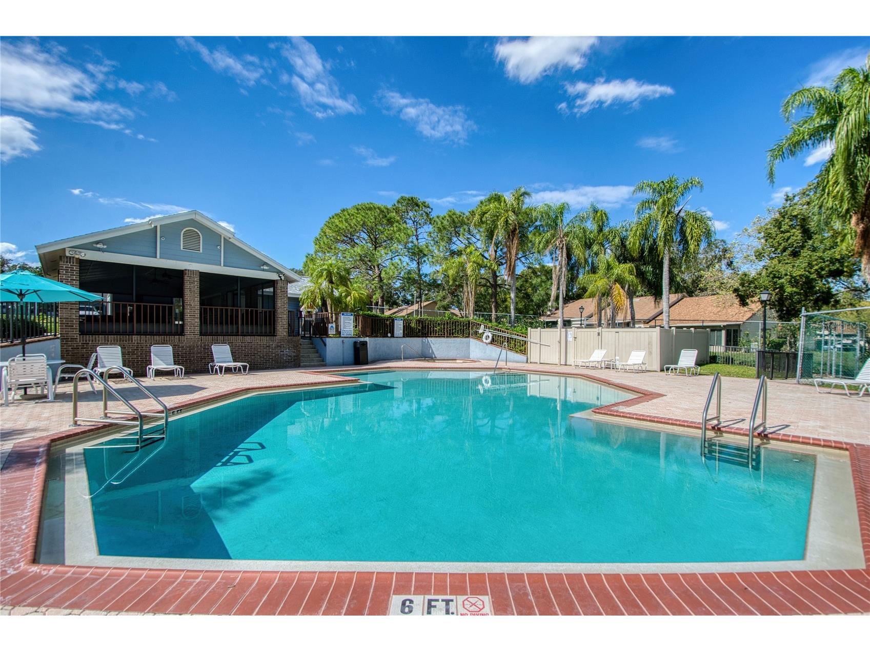 2478 Bentley Dr Palm Harbor FL 34684 TB8511587 image33