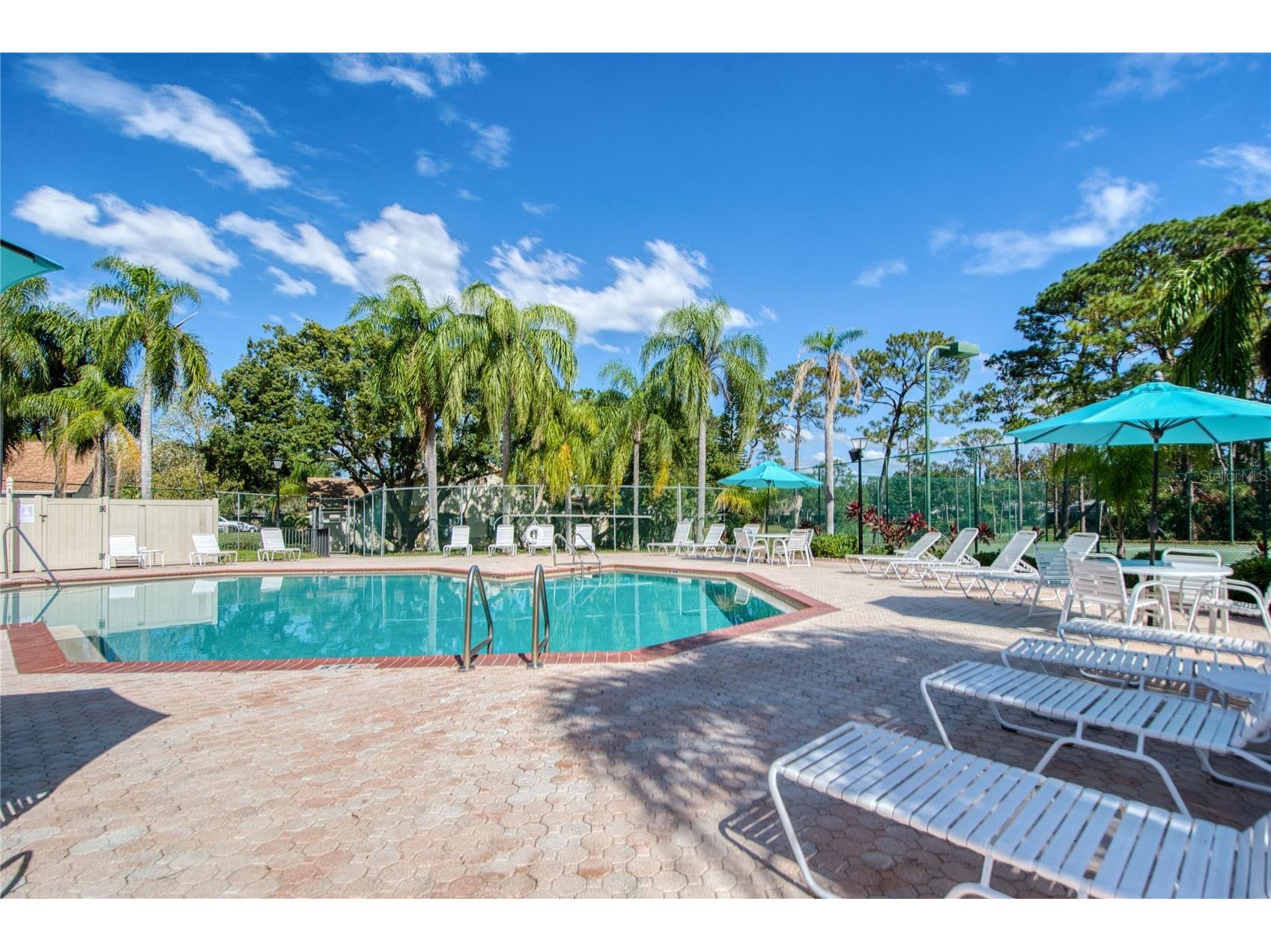 2478 Bentley Dr Palm Harbor FL 34684 TB8511587 image34
