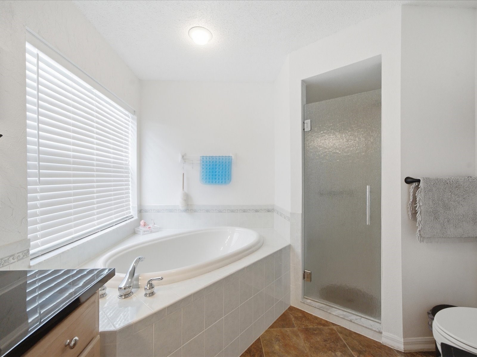 2478 Glenridge Dr Spring Hill FL 34609 W7886691 image19