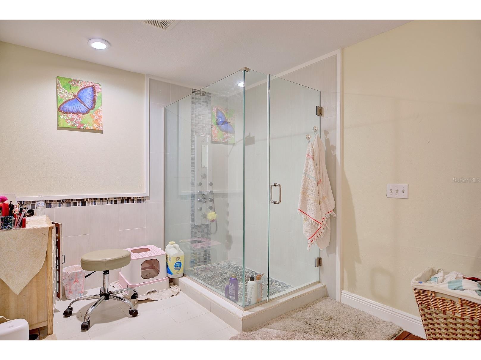 2478 Thacker Trail Kissimmee FL 34747 O6301945 image27