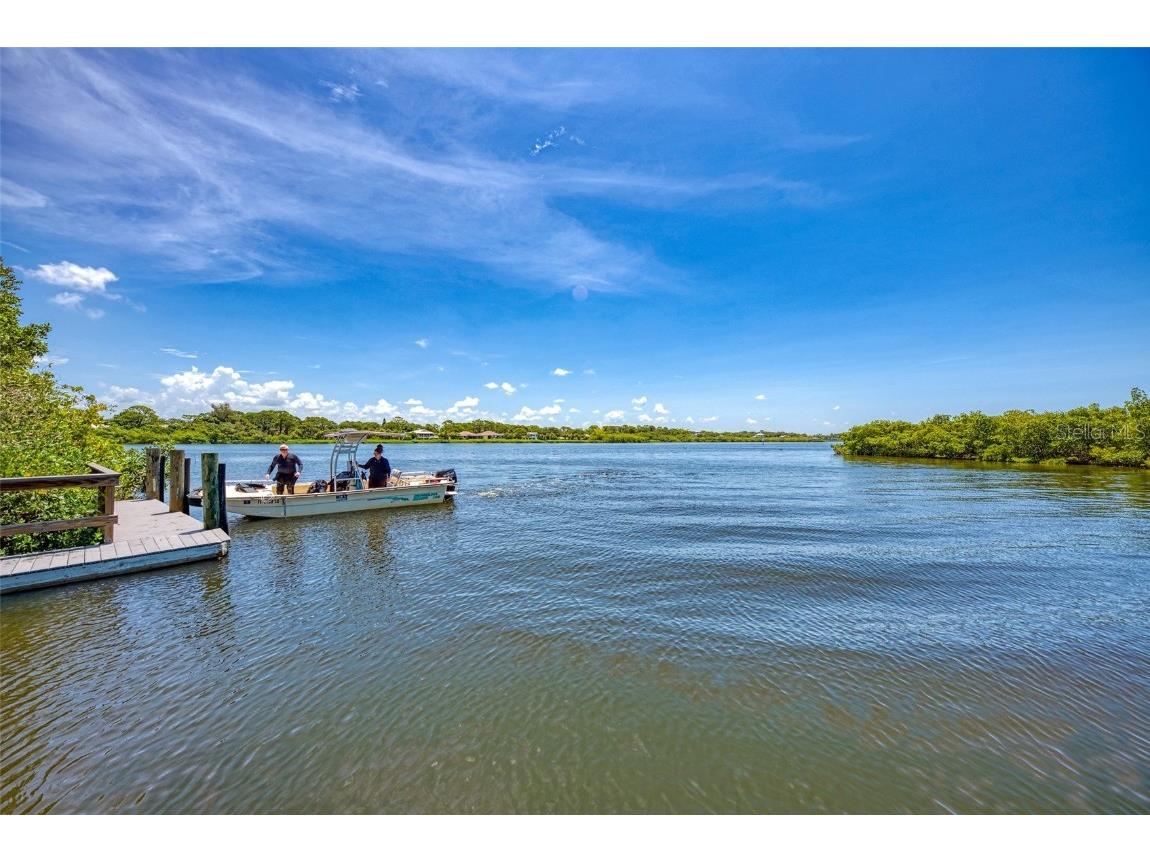 24786 Bonifay Place Venice FL 34293 N6141240 image33