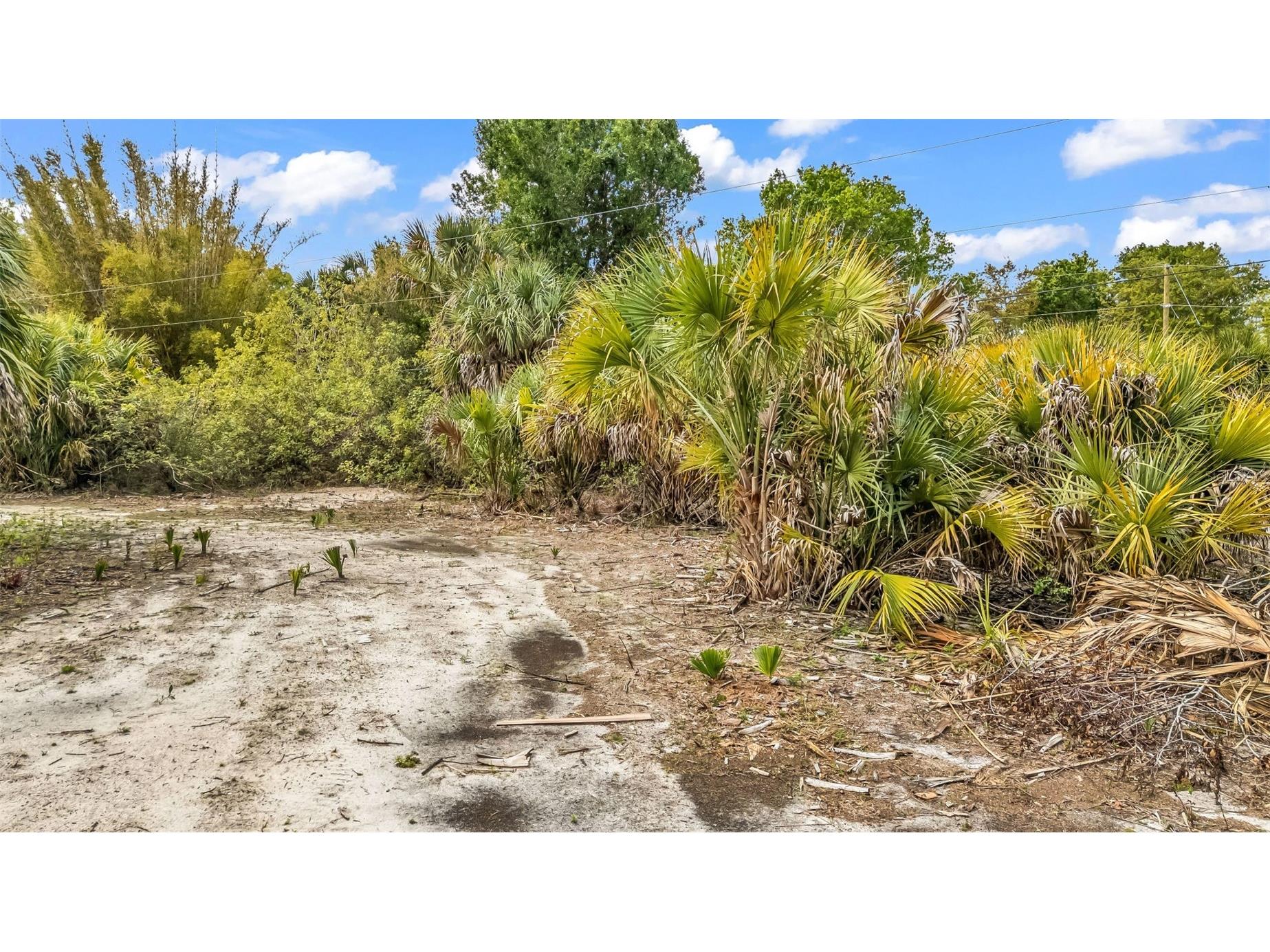24789 Nova Lane Punta Gorda FL 33980 C7523860 image16