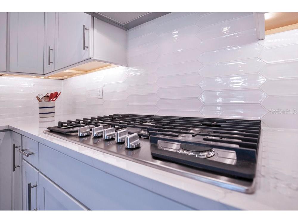 2479 Pine Preserve Court Saint Cloud FL 34771 O6356573 image10