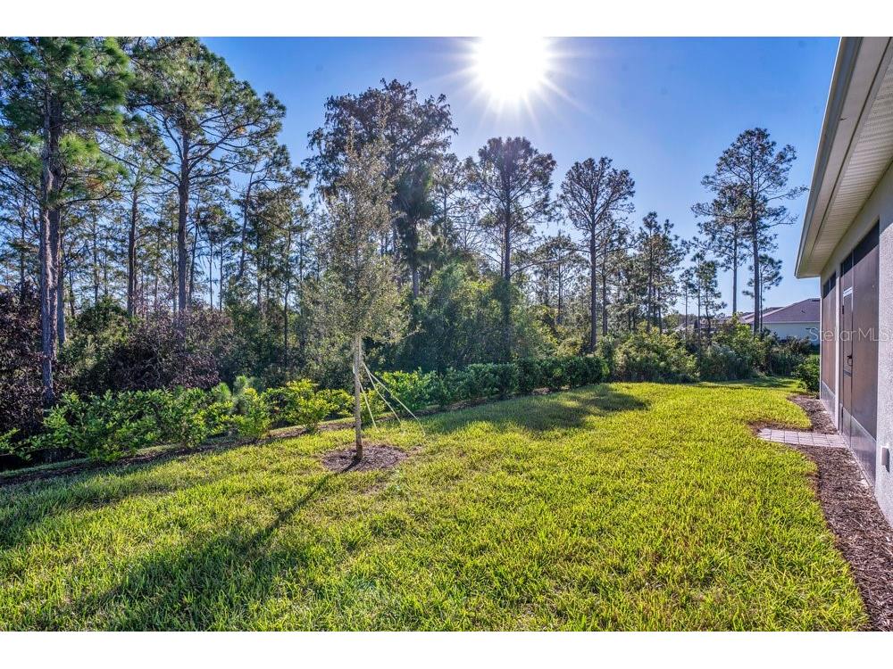 2479 Pine Preserve Court Saint Cloud FL 34771 O6356573 image38