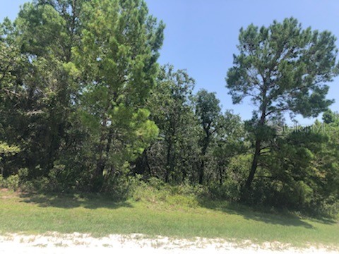 2479 Sand Pine Trail Frostproof FL 33843 O6048188 image1