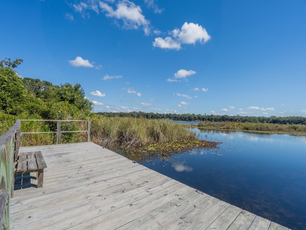 24797 NE 135th Street Salt Springs FL 32134 - LITTLE LAKE KERR CANAL FRONT OM711705 image53