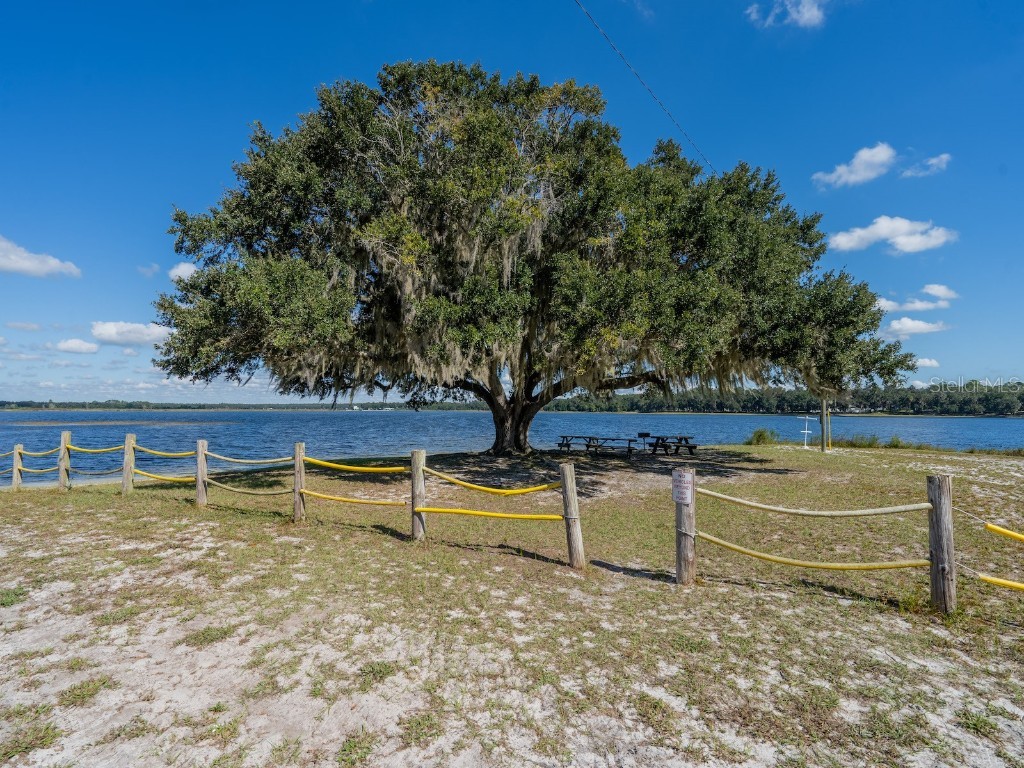 24797 NE 135th Street Salt Springs FL 32134 - LITTLE LAKE KERR CANAL FRONT OM711705 image54