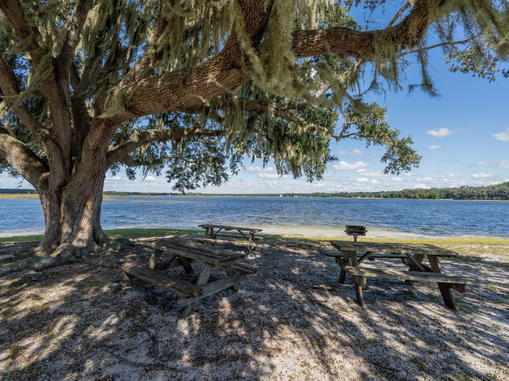 24797 NE 135th Street Salt Springs FL 32134 - LITTLE LAKE KERR CANAL FRONT OM711705 image55