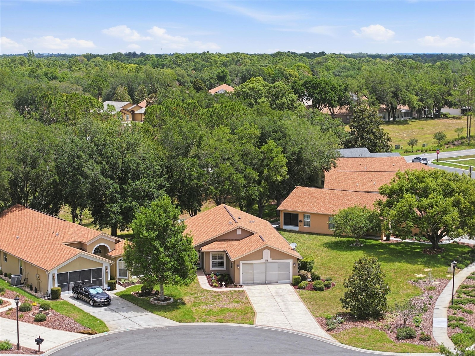 248 Kestrel Court Spring Hill FL 34609 W7885807 image54
