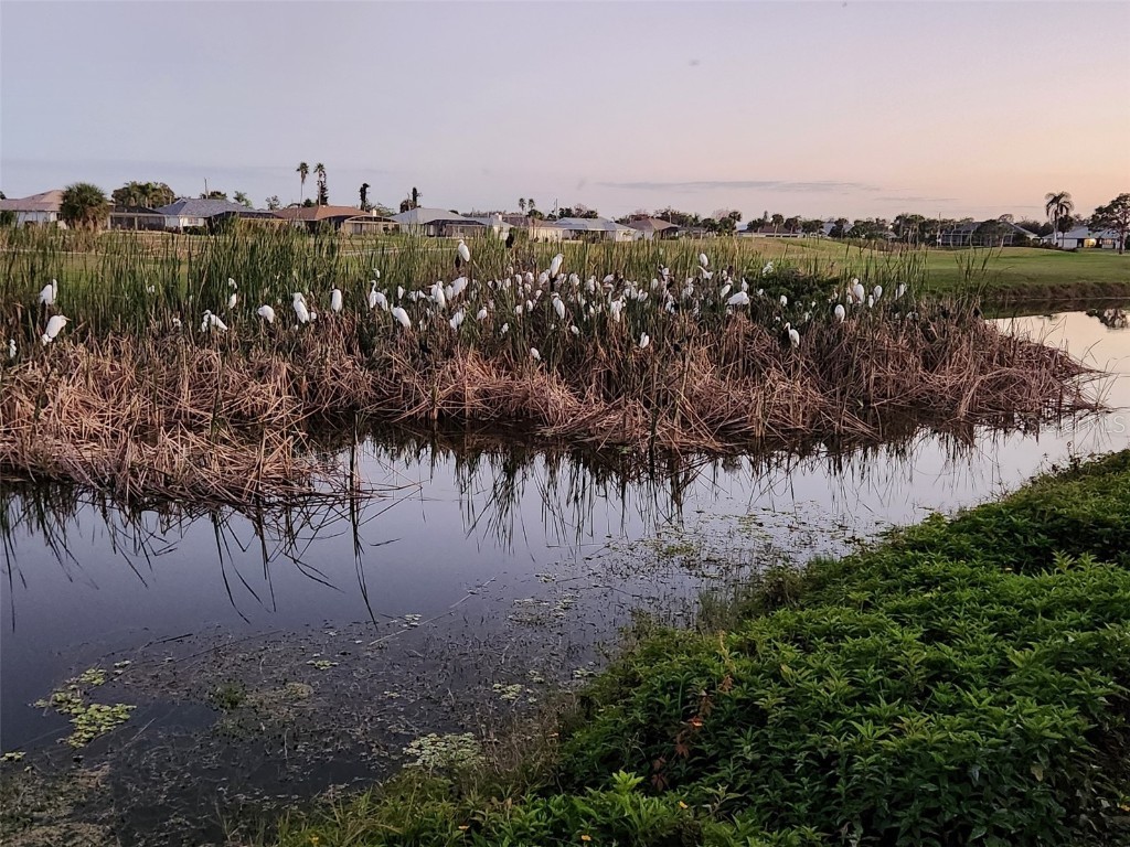 248 Rotonda Circle Rotonda West FL 33947 D6145330 image47