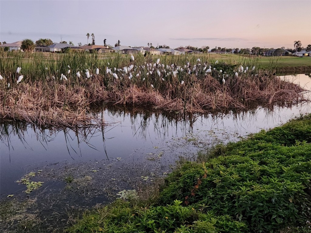 248 Rotonda Circle Rotonda West FL 33947 D6145330 image48