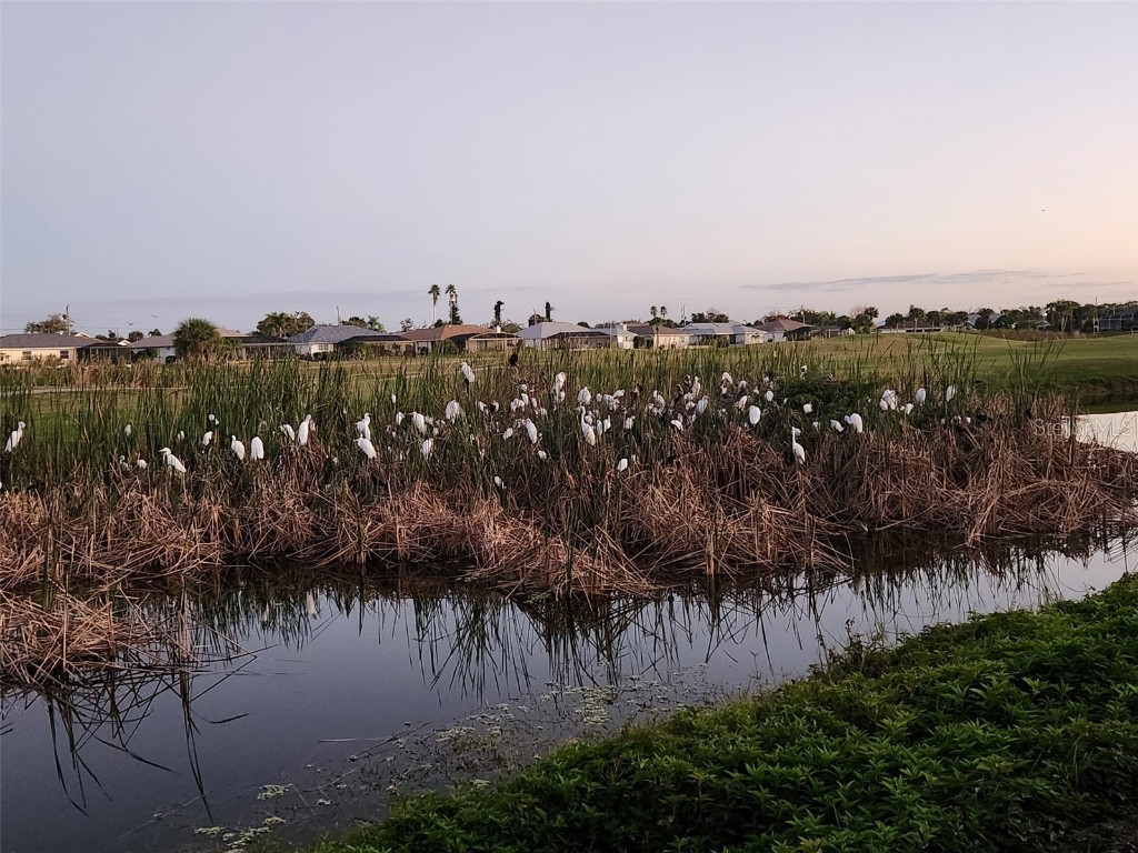 248 Rotonda Circle Rotonda West FL 33947 D6145330 image49