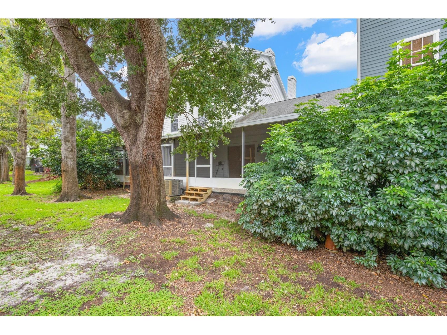 248 St Ives Drive #248 Palm Harbor FL 34684 TB8516474 image27
