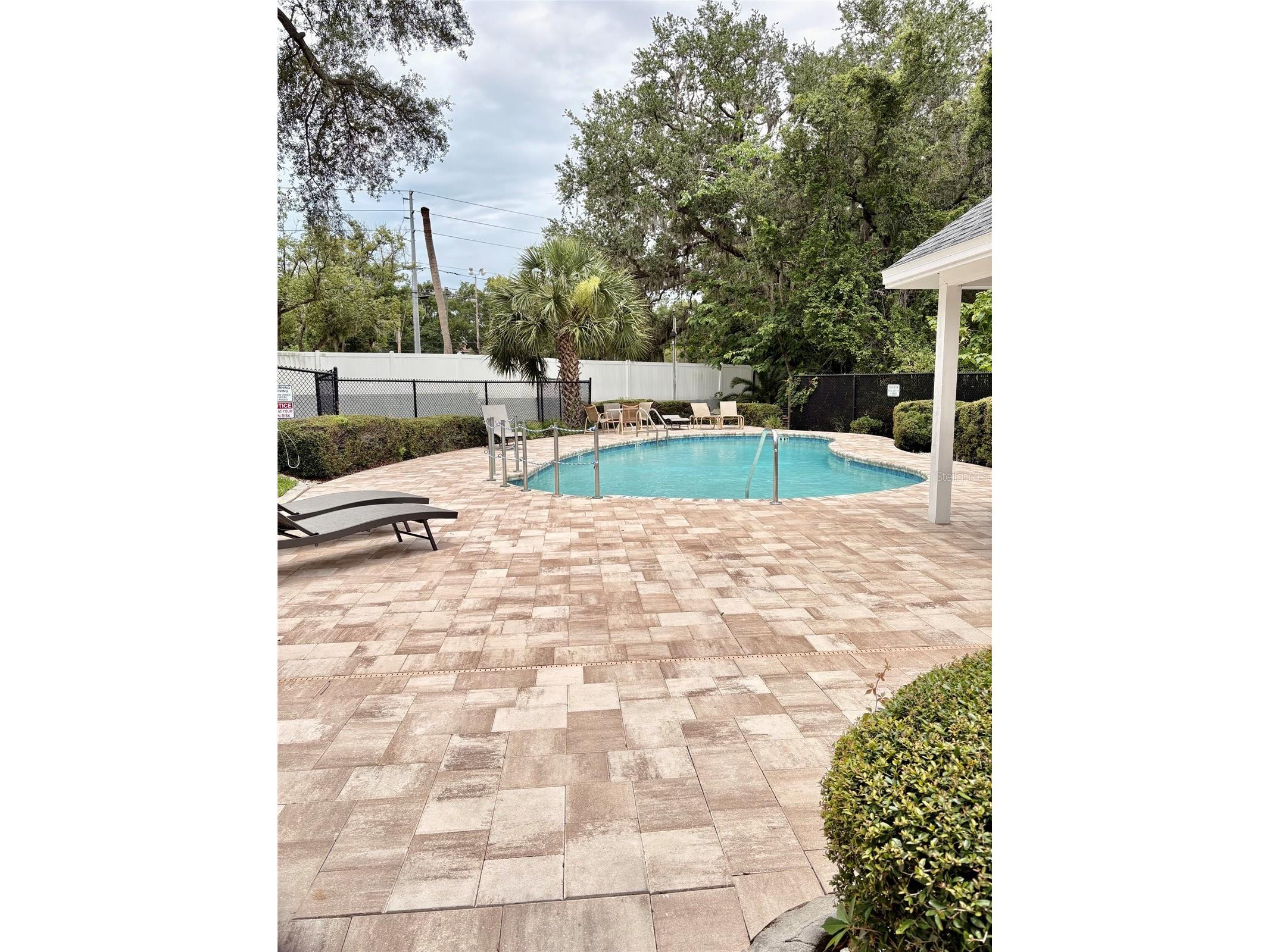 248 St Ives Drive #248 Palm Harbor FL 34684 TB8516474 image31