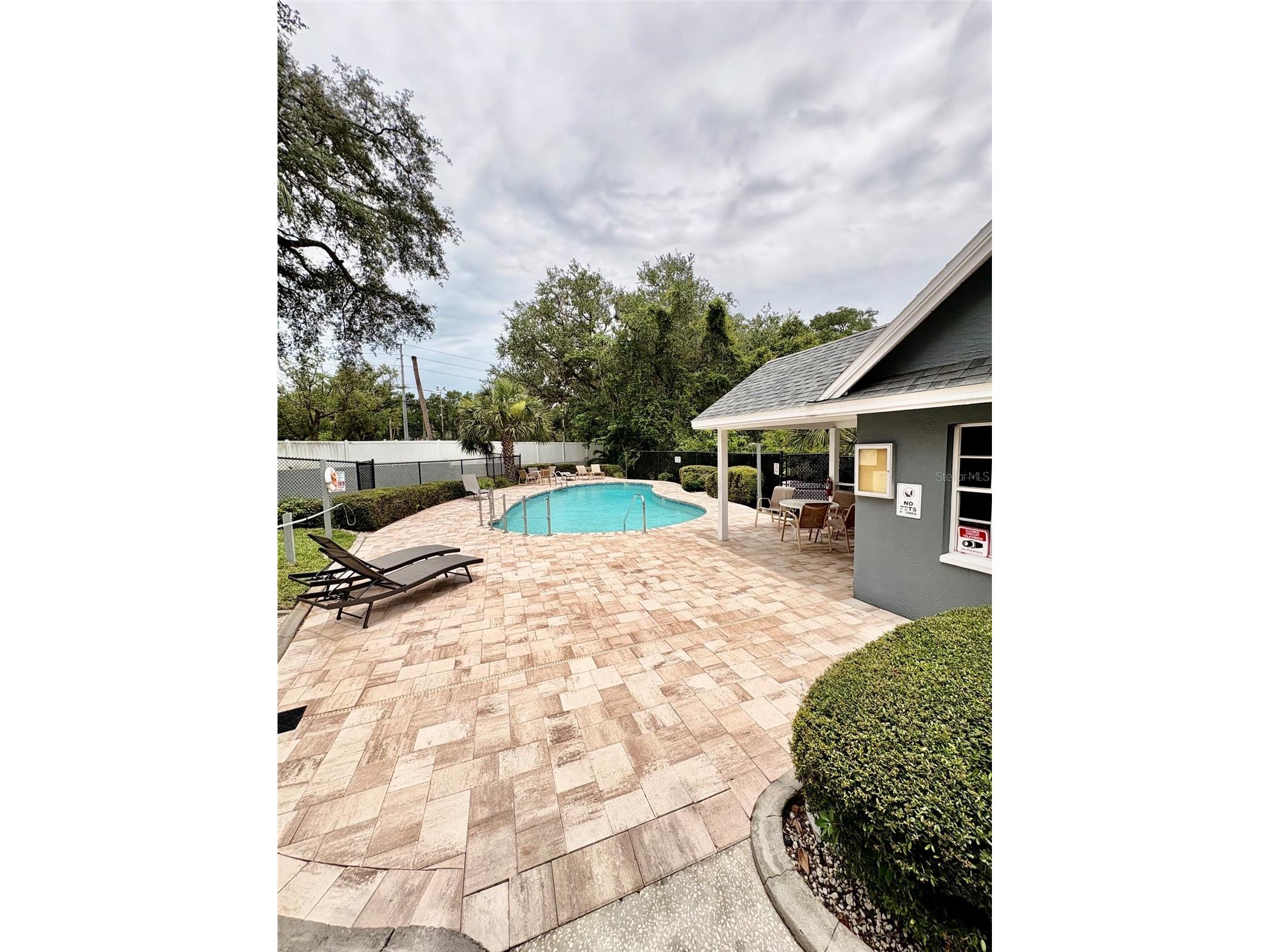 248 St Ives Drive #248 Palm Harbor FL 34684 TB8516474 image32