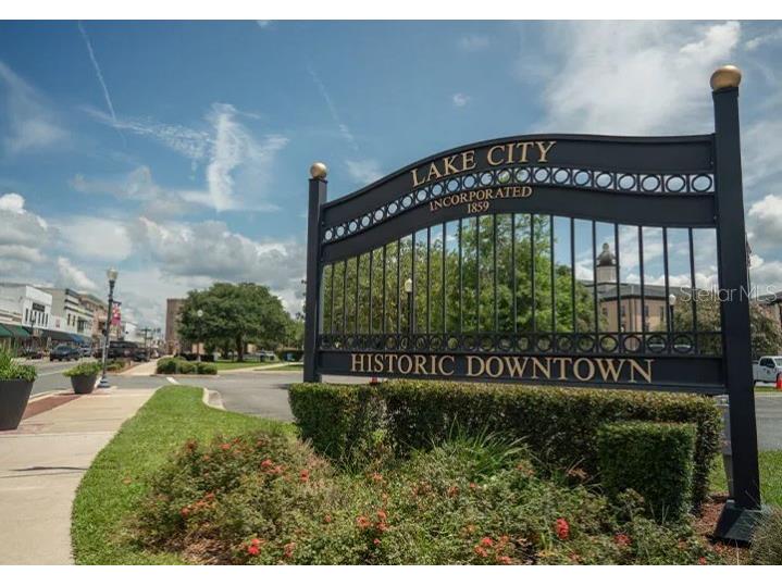 248 SW Cadence Glen Lake City FL 32024 O6318923 image22