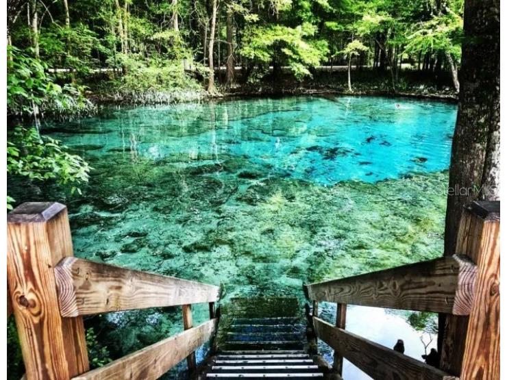 248 SW Cadence Glen Lake City FL 32024 O6318923 image23