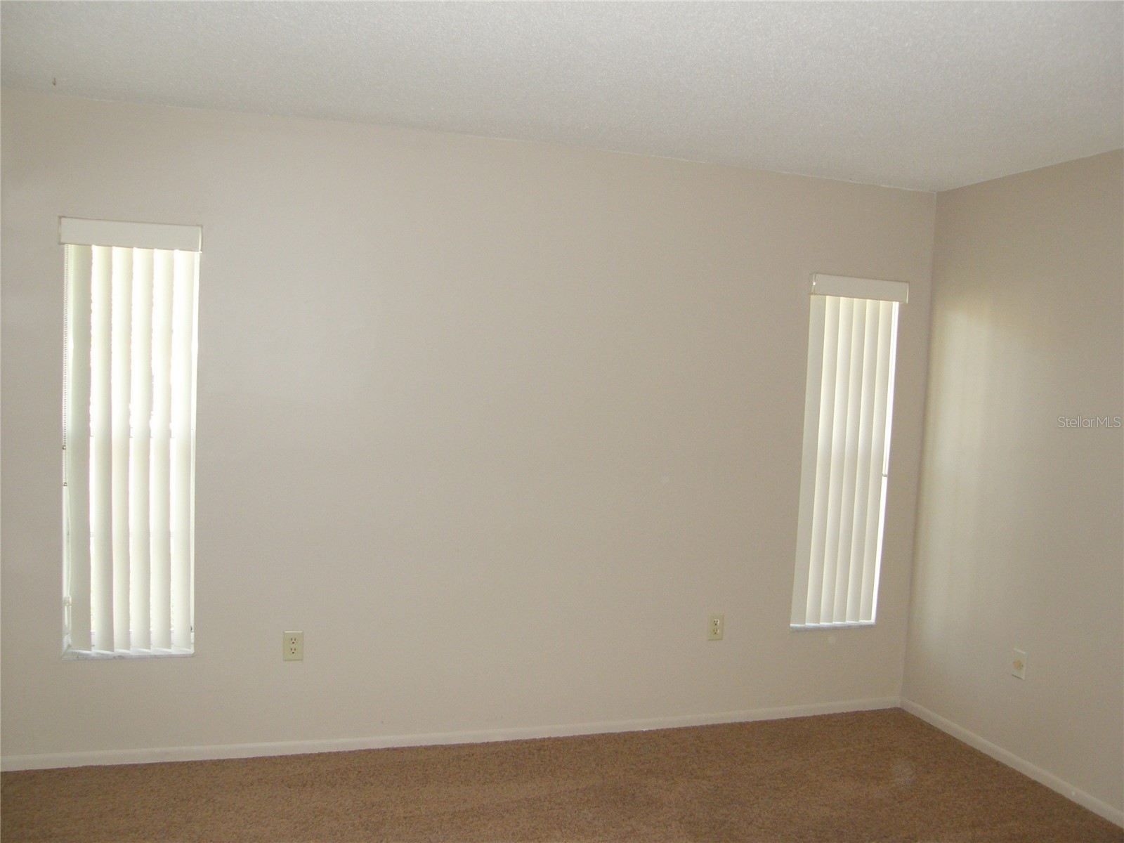 2480 Anchor Avenue Spring Hill FL 34608 W7884584 image14