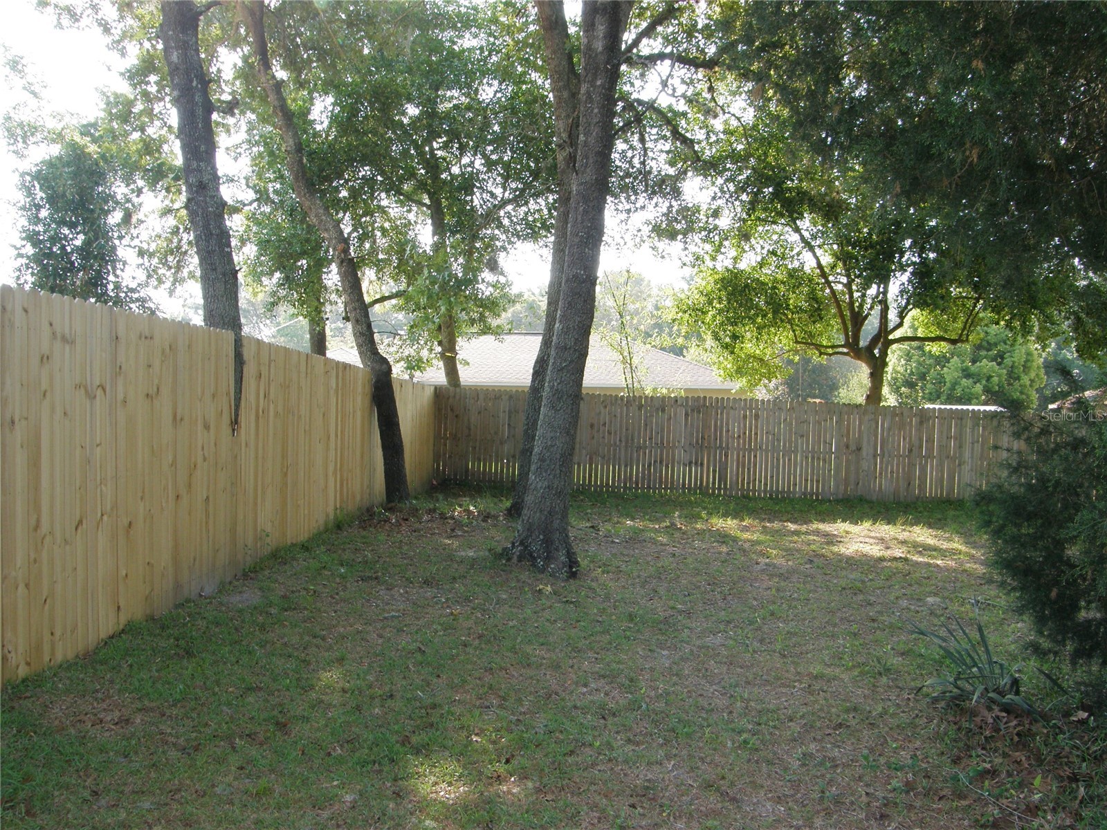 2480 Anchor Avenue Spring Hill FL 34608 W7884584 image18