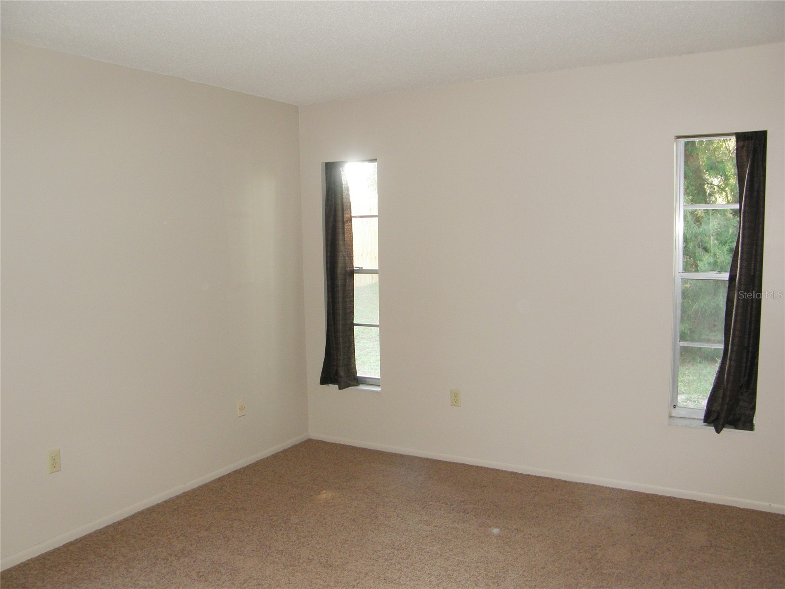 2480 Anchor Avenue Spring Hill FL 34608 W7884584 image9