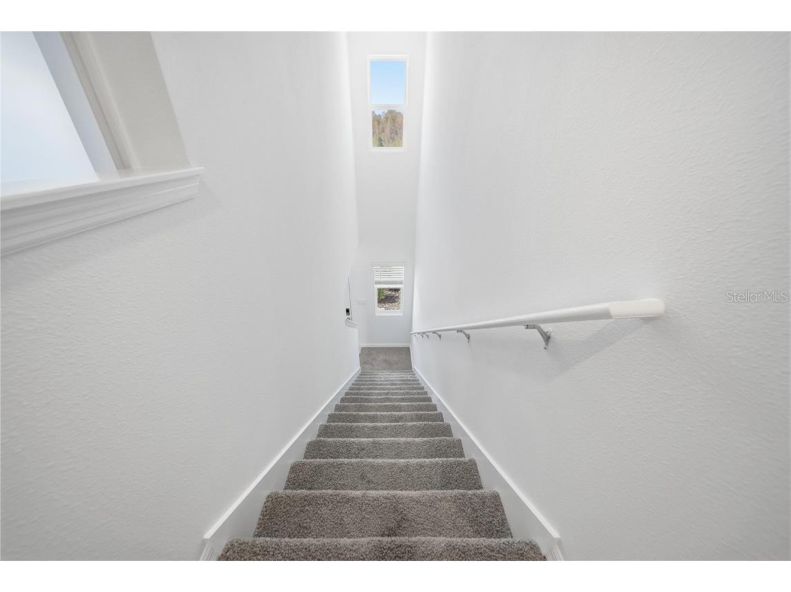 2480 Riversong Lodge Lane Wesley Chapel FL 33543 TB8454685 image14