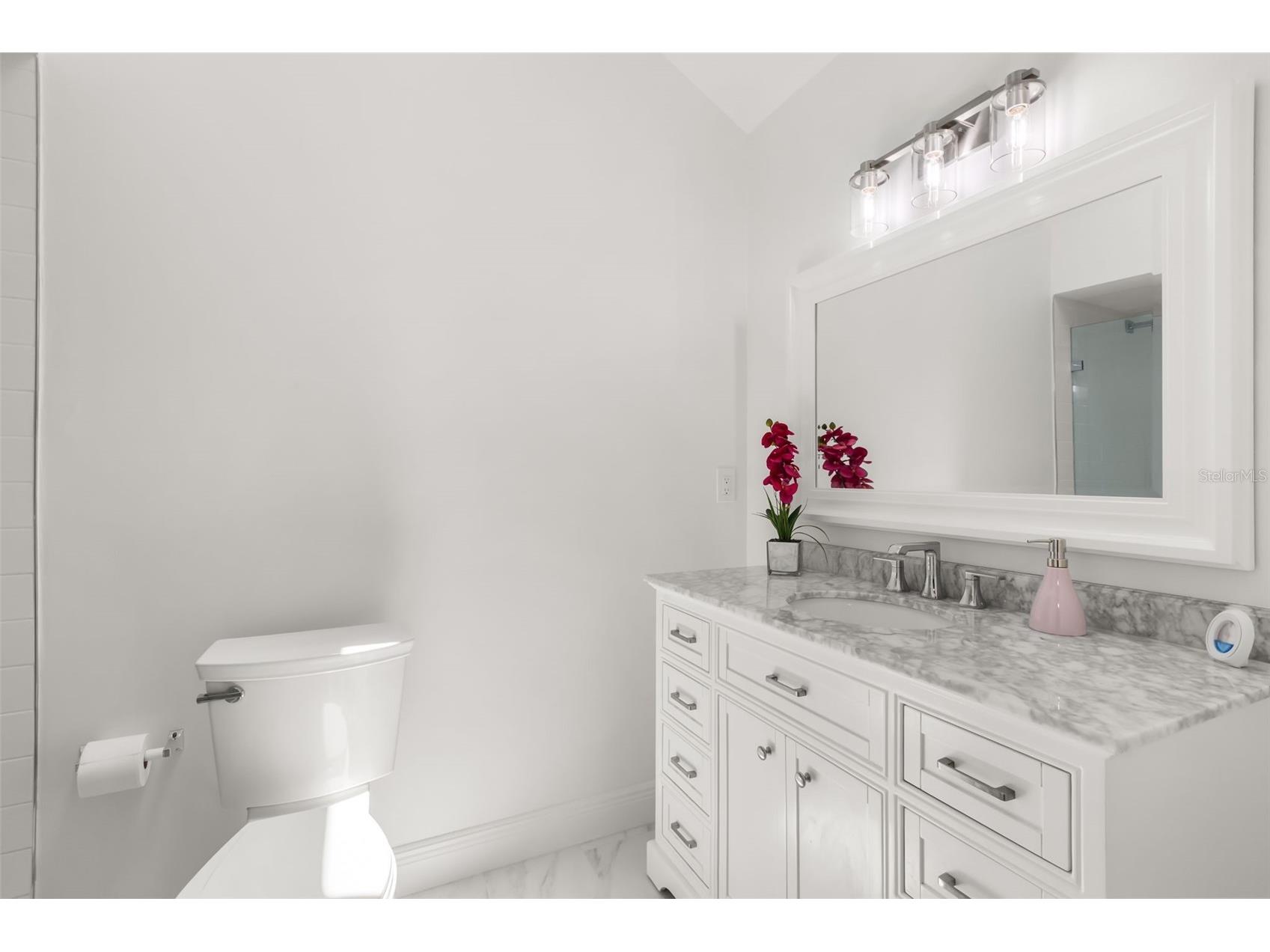 2480 Via Genova Apopka FL 32712 - LAKE BRANTLEY O6425040 image39