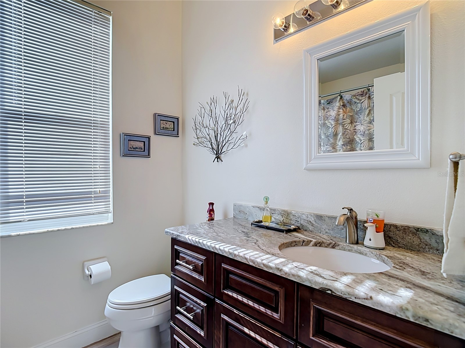 24807 Blazing Trail Way Land O Lakes FL 34639 W7887883 image38