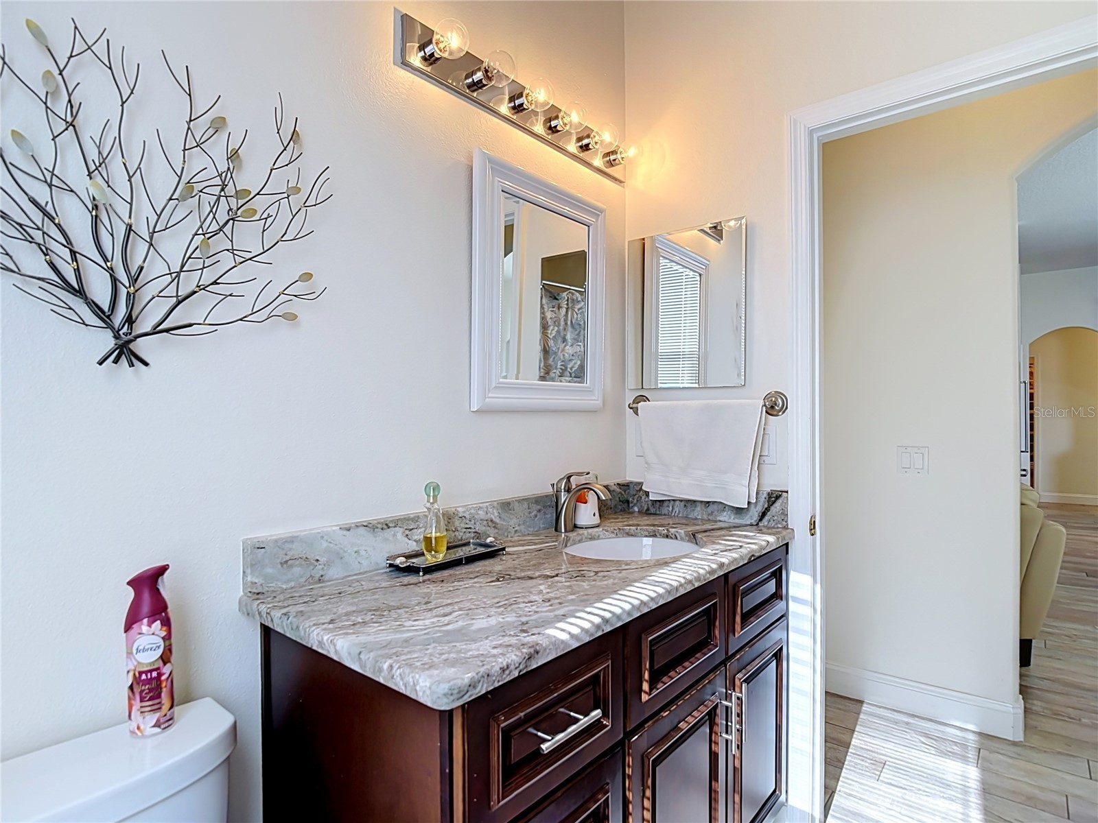 24807 Blazing Trail Way Land O Lakes FL 34639 W7887883 image40