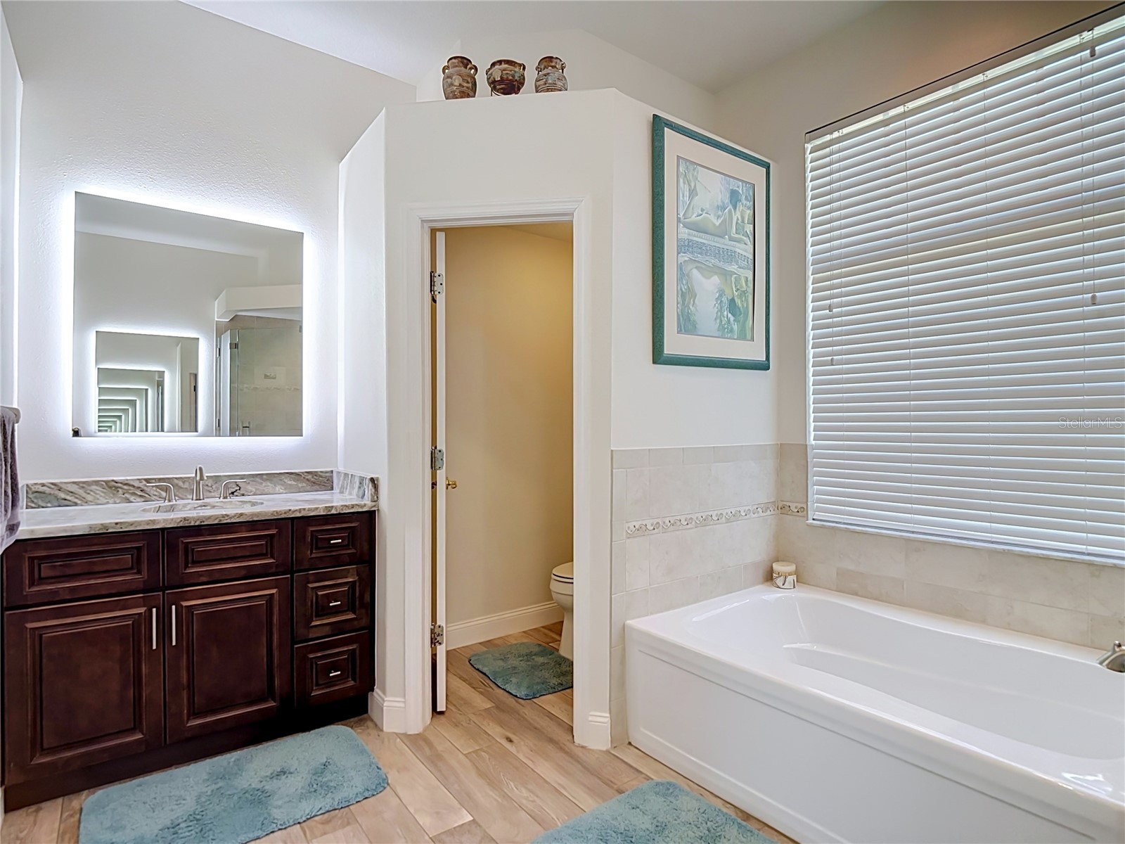 24807 Blazing Trail Way Land O Lakes FL 34639 W7887883 image52