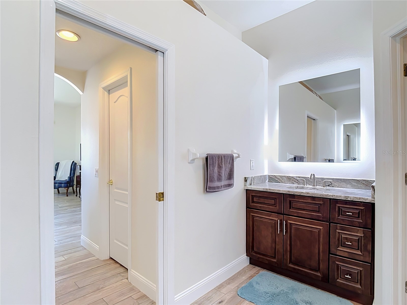 24807 Blazing Trail Way Land O Lakes FL 34639 W7887883 image53