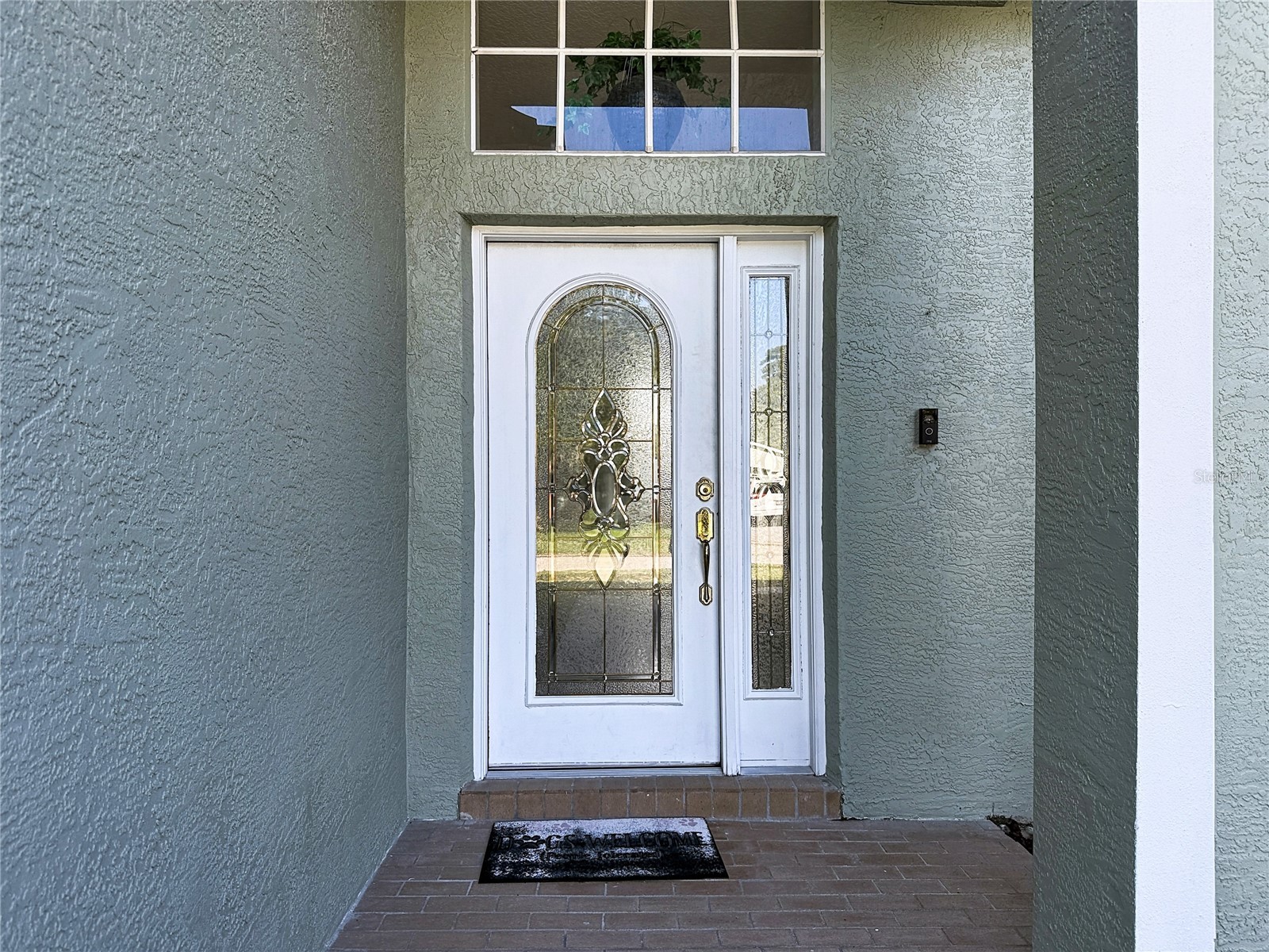 24807 Blazing Trail Way Land O Lakes FL 34639 W7887883 image6