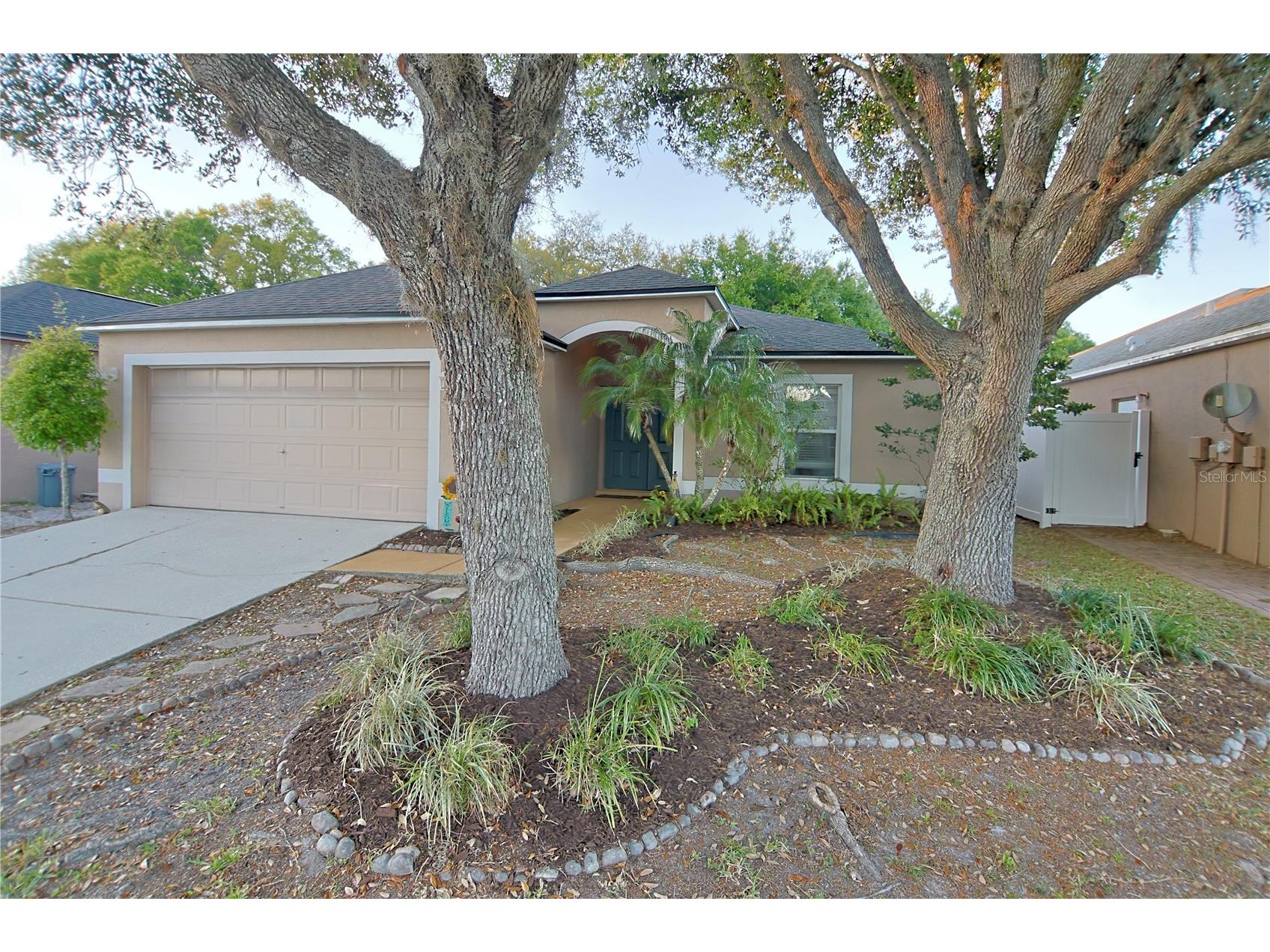 24809 Ravello Street Land O Lakes FL 34639 TB8493605 image1