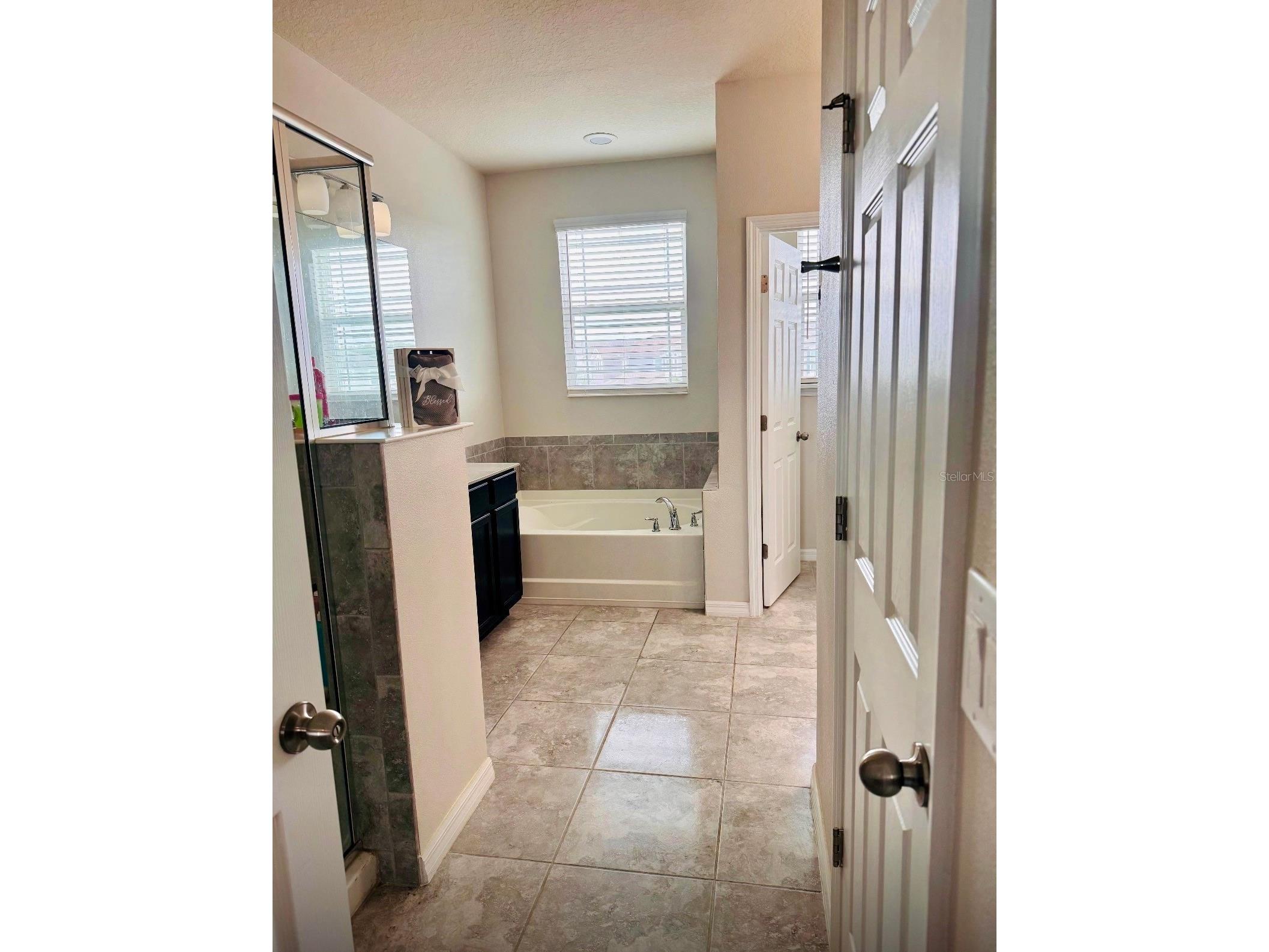 2481 Annacella Avenue Kissimmee FL 34741 O6411840 image39