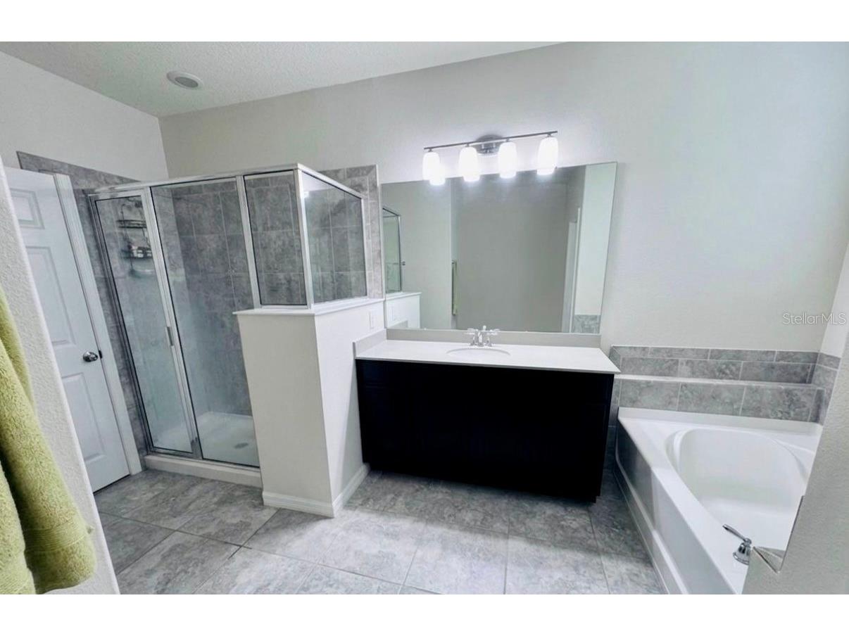 2481 Annacella Avenue Kissimmee FL 34741 O6411840 image42