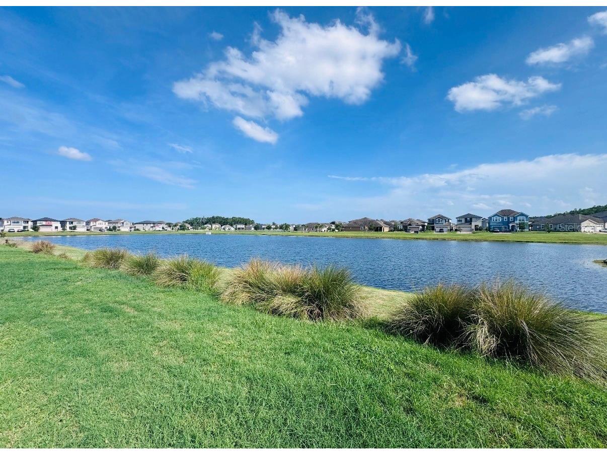 2481 Annacella Avenue Kissimmee FL 34741 O6411840 image5