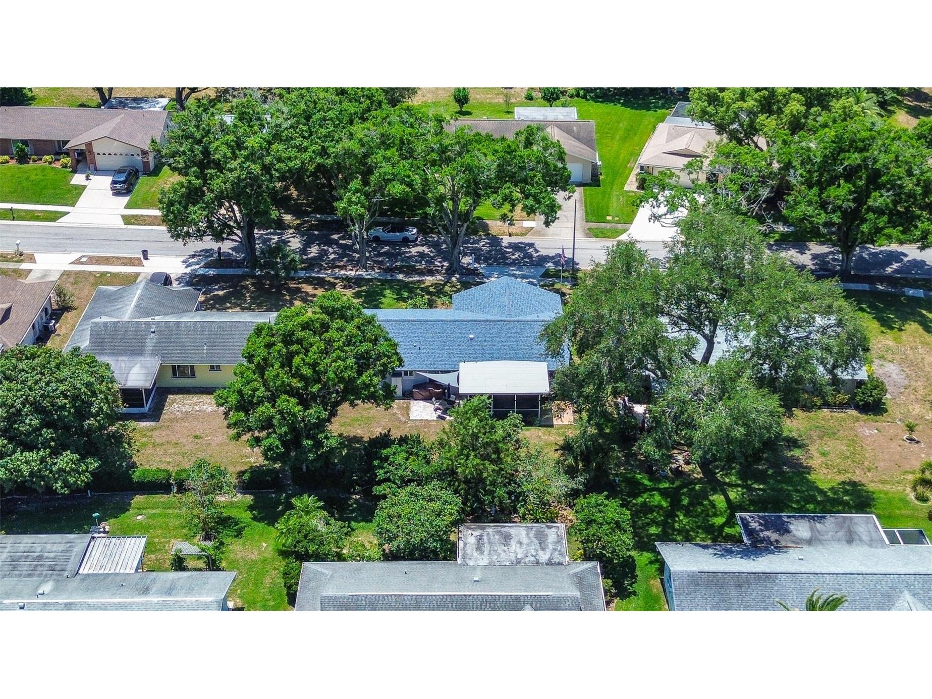 2481 Malcolm Drive Palm Harbor FL 34684 TB8509539 image34