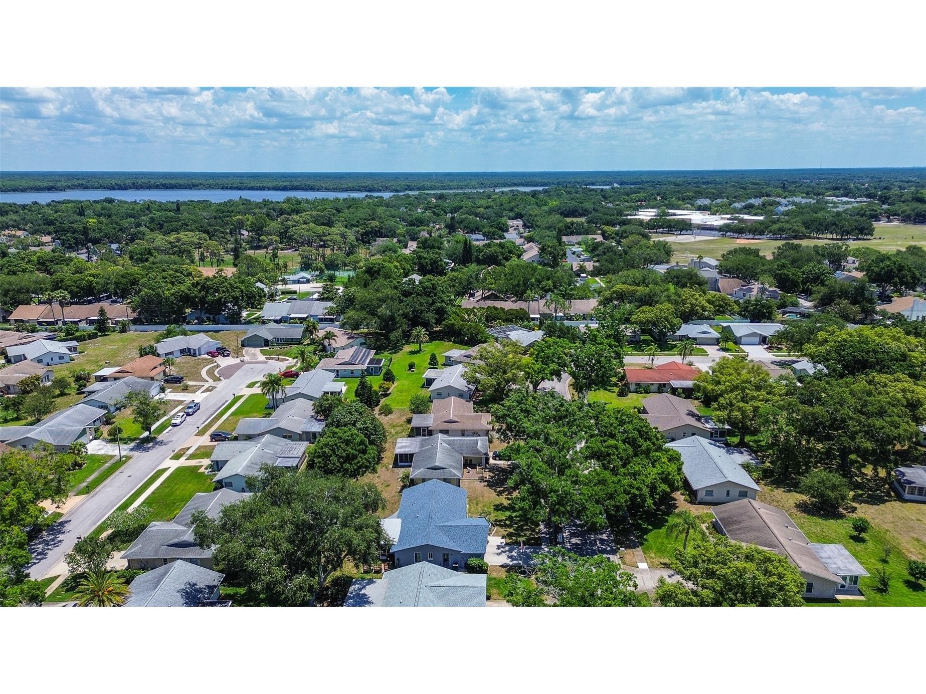 2481 Malcolm Drive Palm Harbor FL 34684 TB8509539 image35