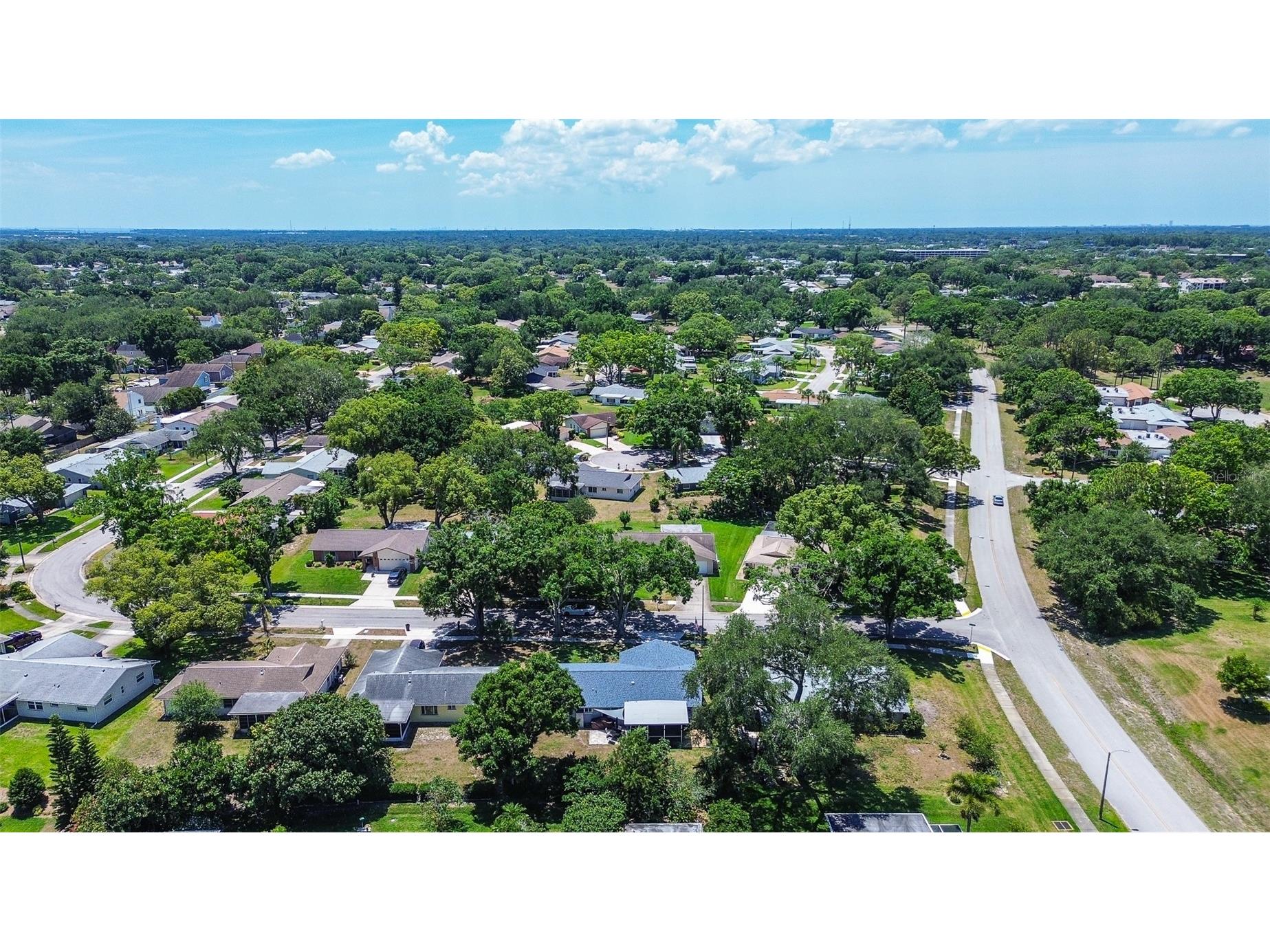 2481 Malcolm Drive Palm Harbor FL 34684 TB8509539 image36