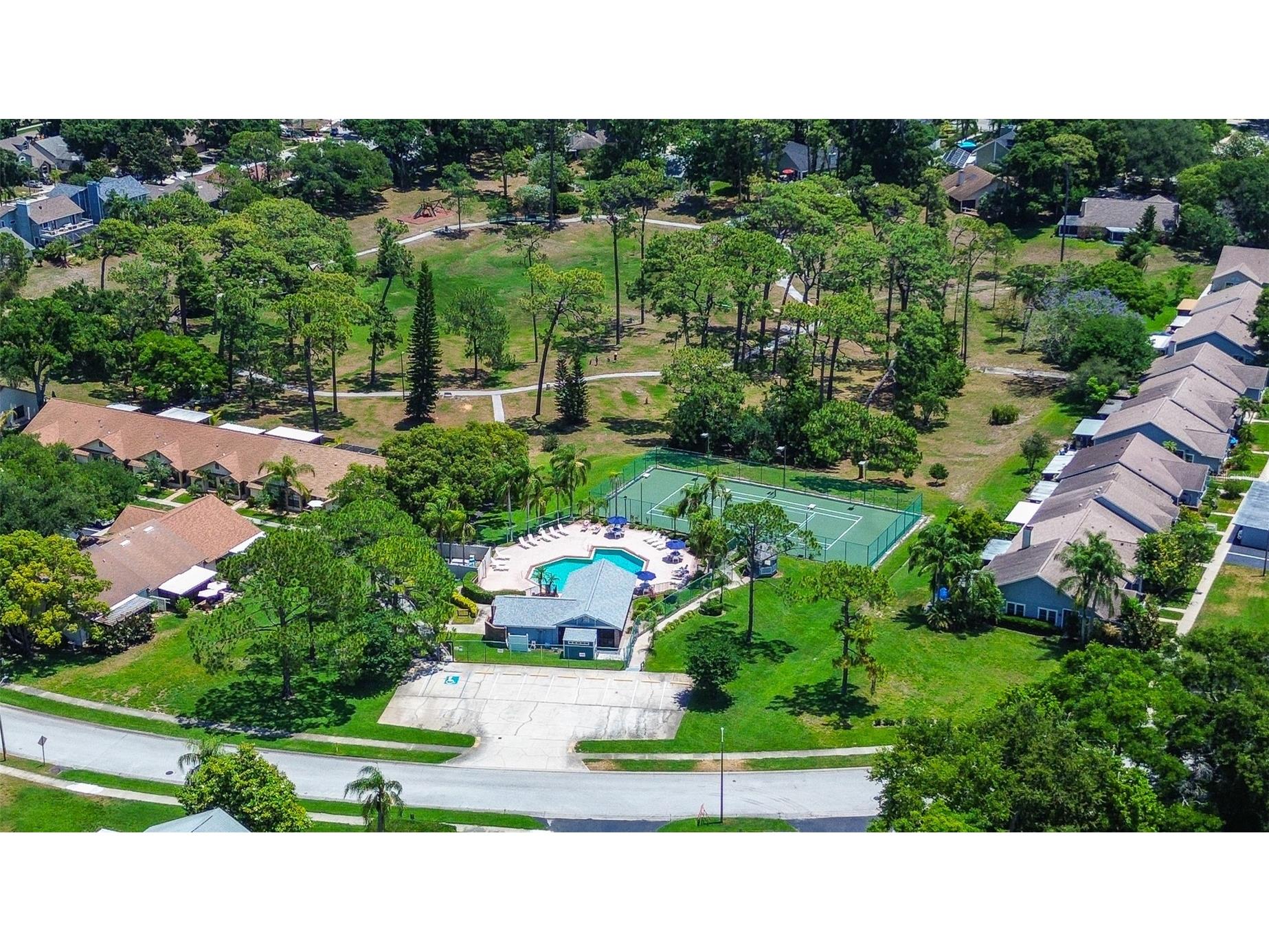 2481 Malcolm Drive Palm Harbor FL 34684 TB8509539 image38