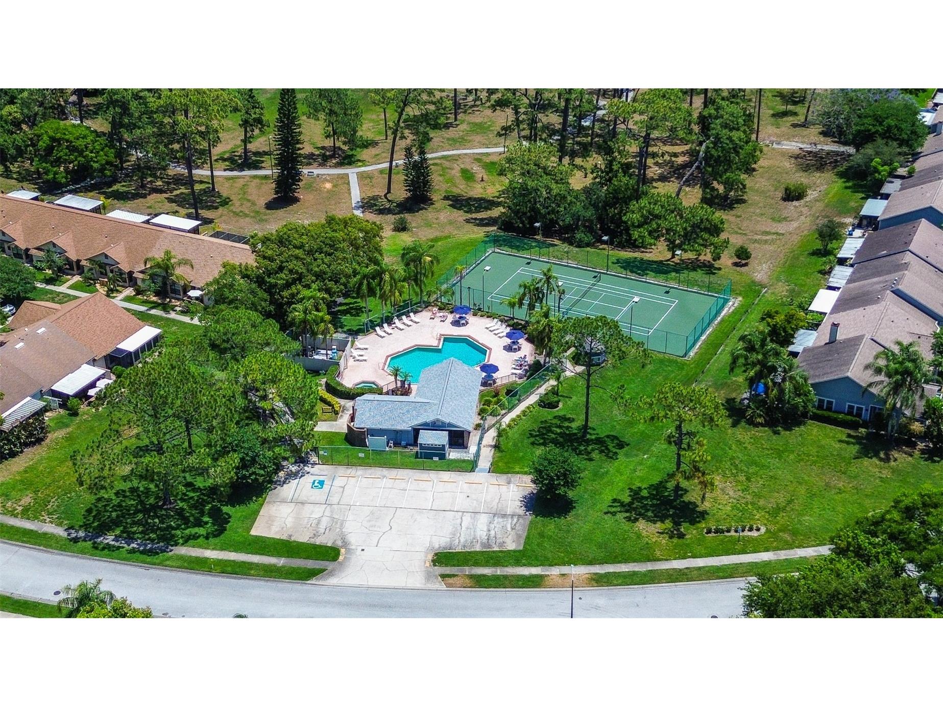 2481 Malcolm Drive Palm Harbor FL 34684 TB8509539 image39