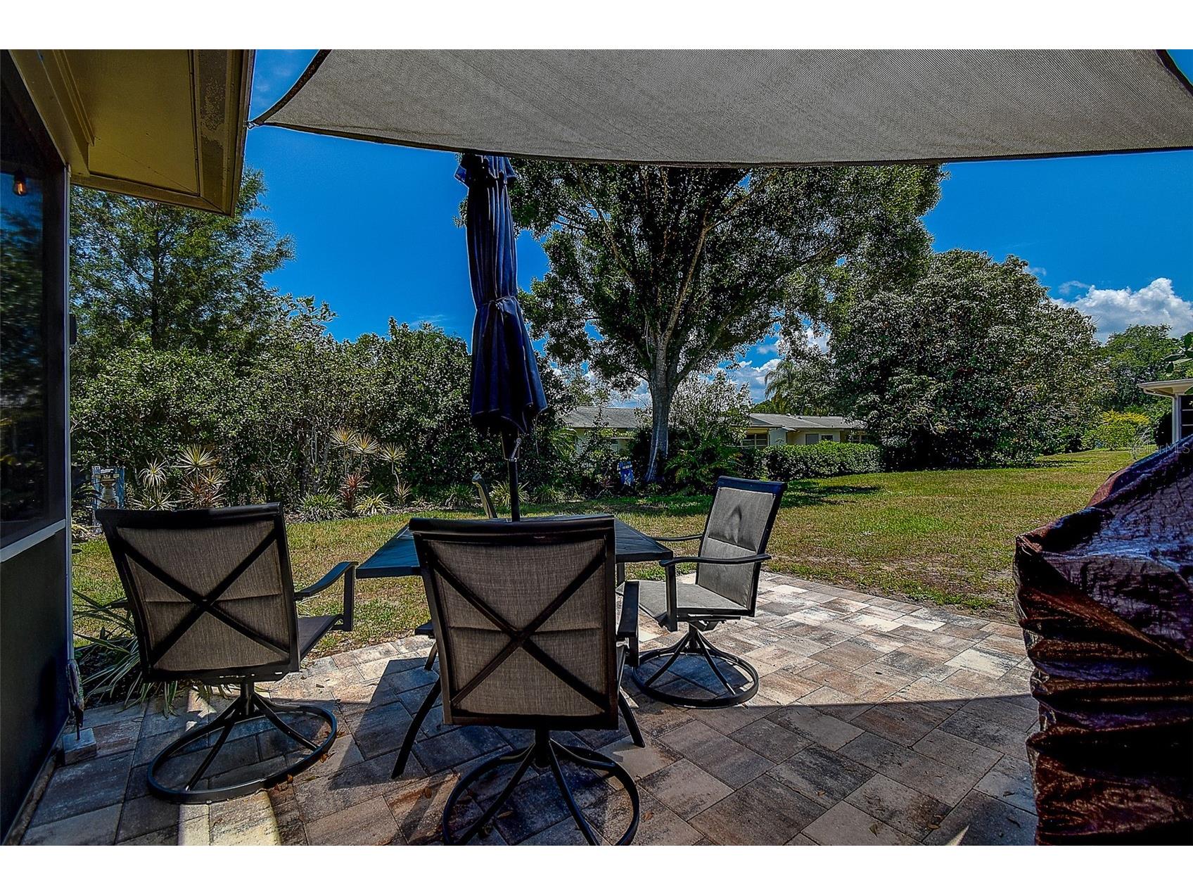 2481 Malcolm Drive Palm Harbor FL 34684 TB8509539 image41