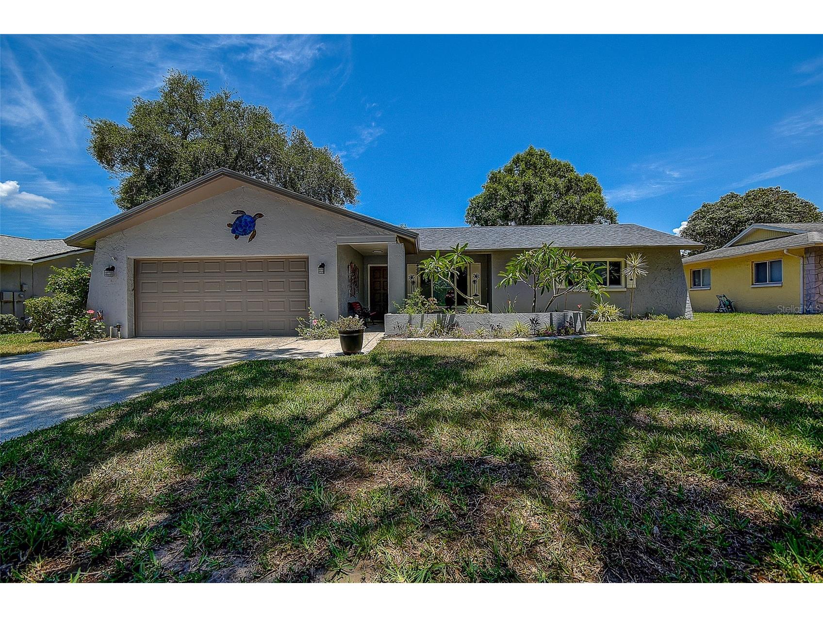2481 Malcolm Drive Palm Harbor FL 34684 TB8509539 image42